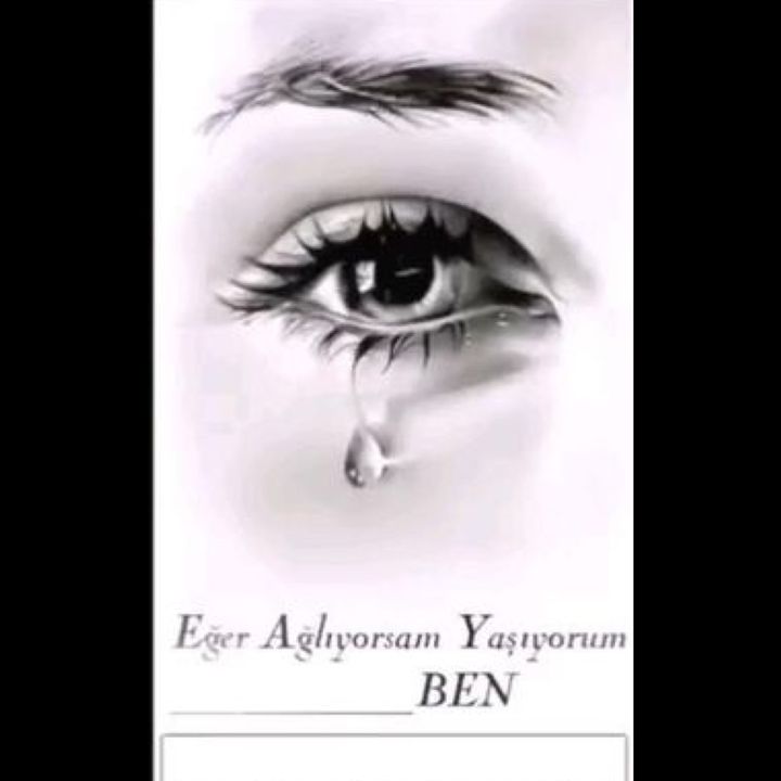 eda.ben1