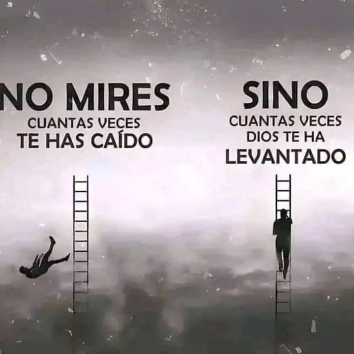 @aloia_biblia49