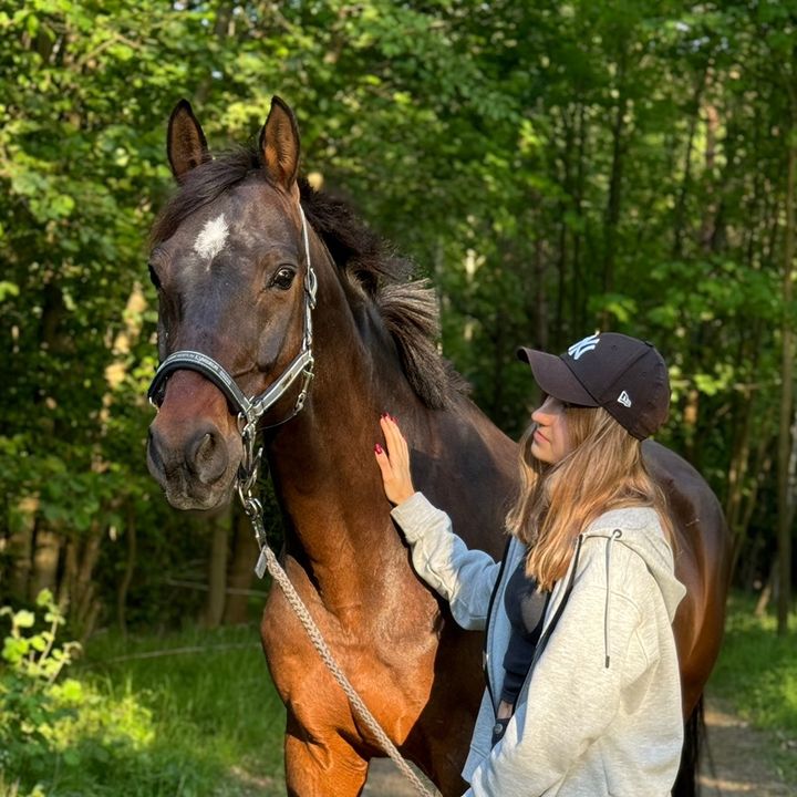 soshi.horserider