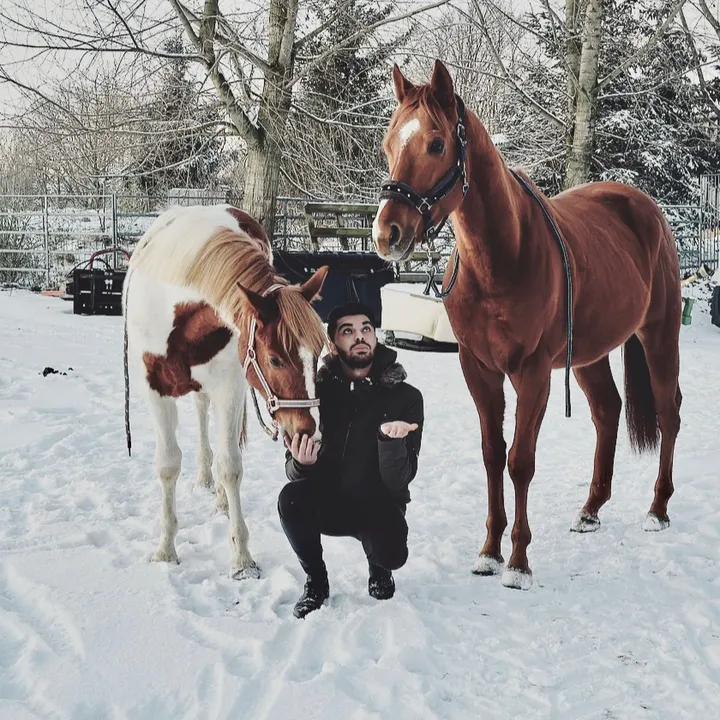 cheval793