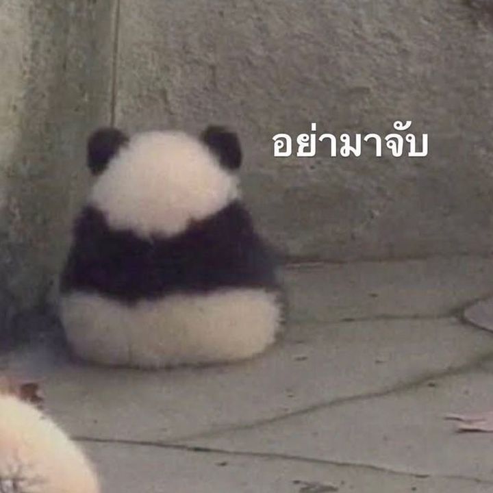 youre_my_favorite_song