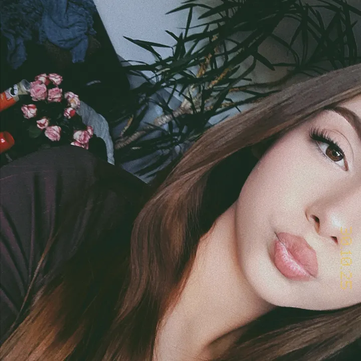 lisa...pdm