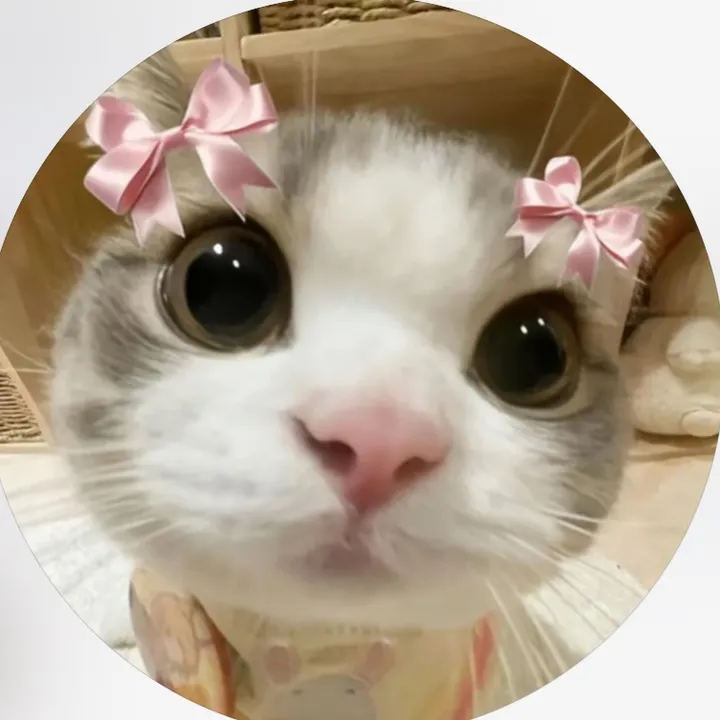 alice.cattok