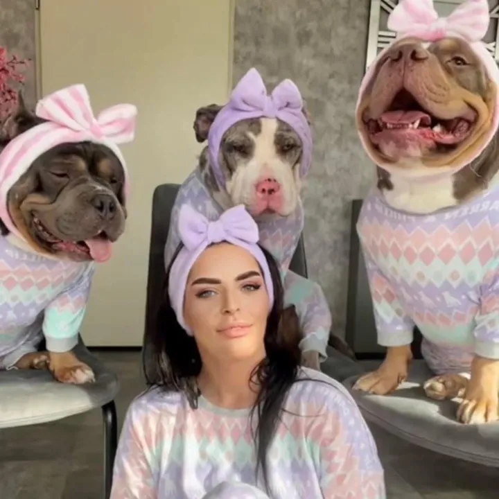 bundleofbullies