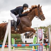 gzc.jumps