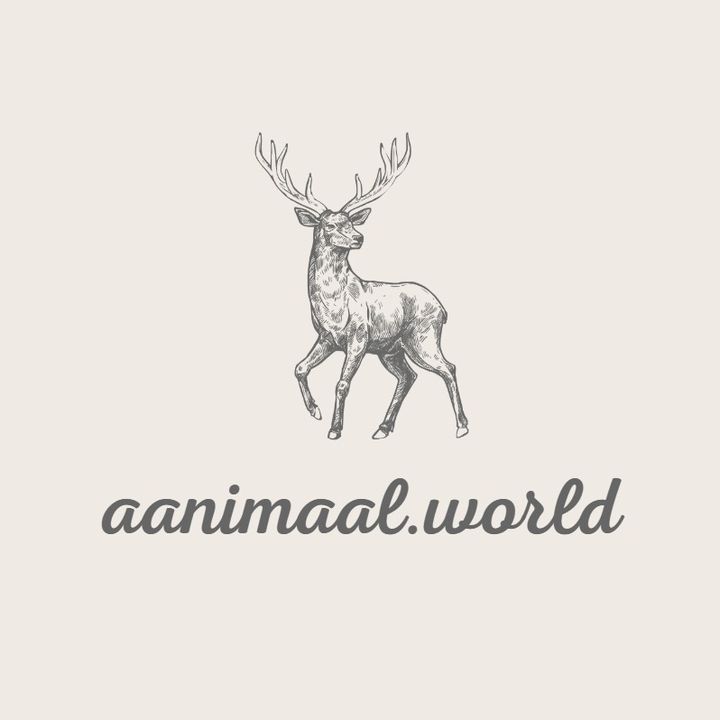 aanimaal.world