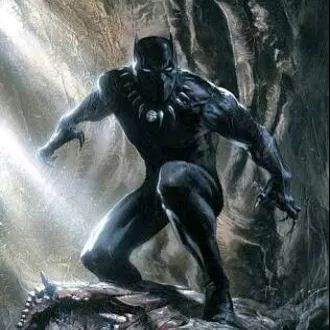 .blackpantherrr
