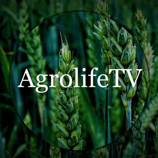 agrolifetv5