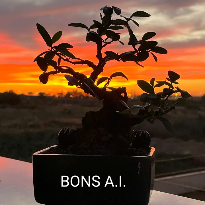 bons.a.i