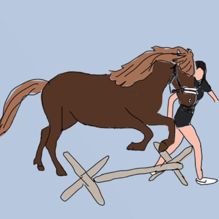 4horseriding