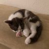 love.life3976