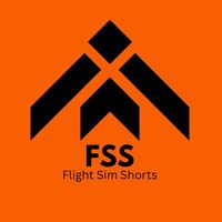 flight.sim.shorts