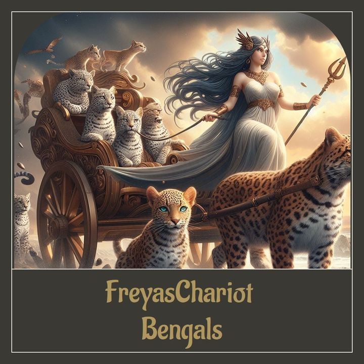 freyaschariot
