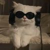 just_vibes.1