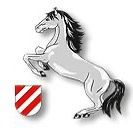 reitvereinwasseramt