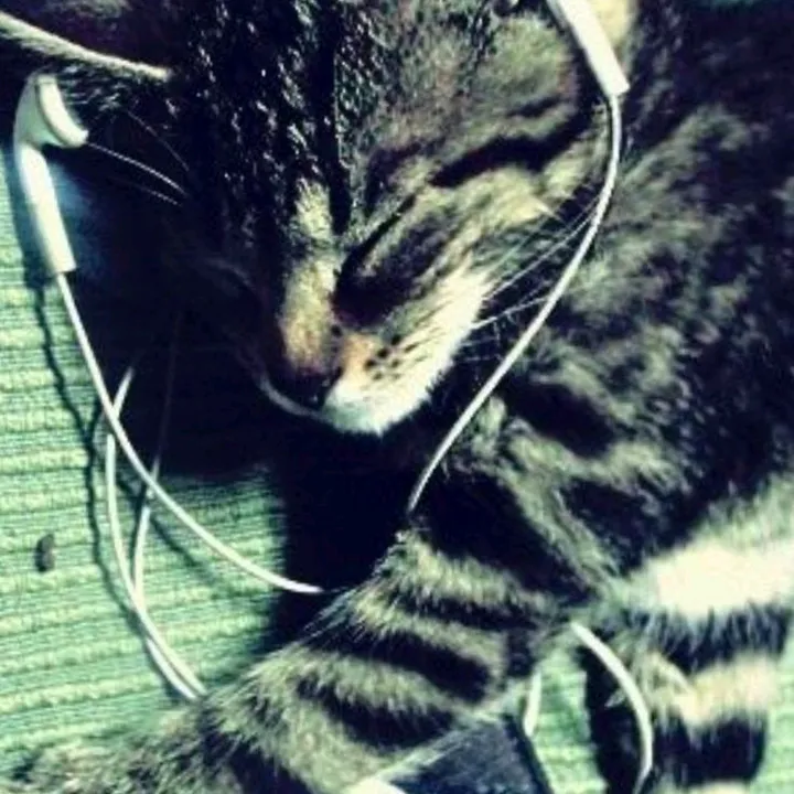 asher_123..4
