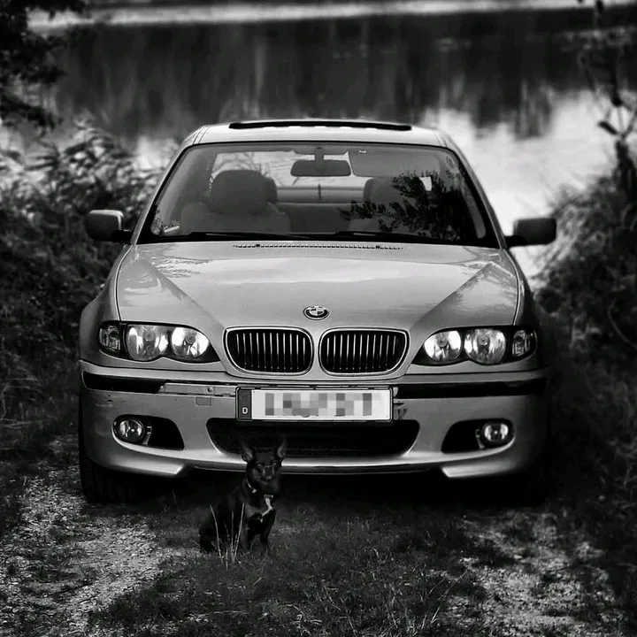 francesco_d.03