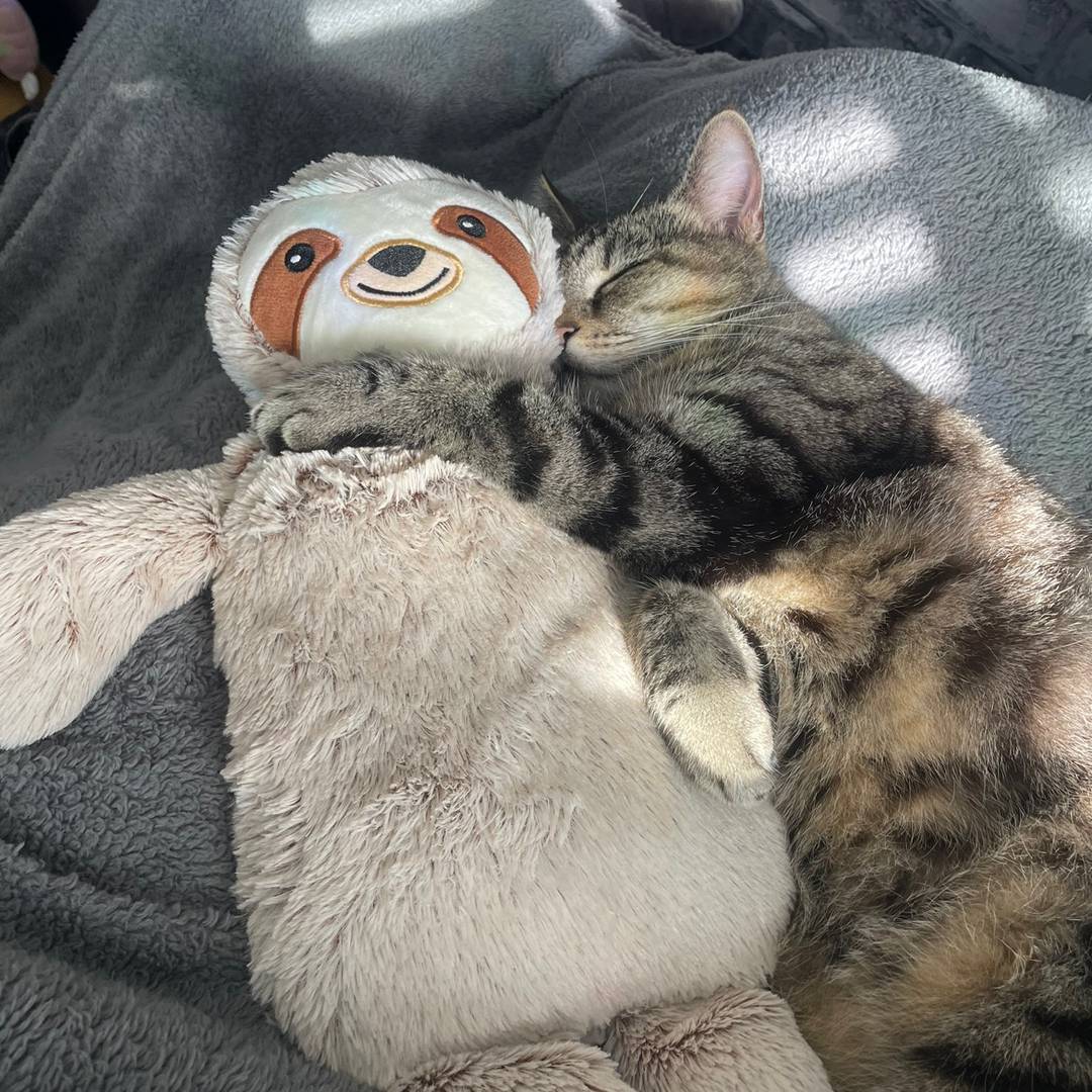 original sound - usernamee_024