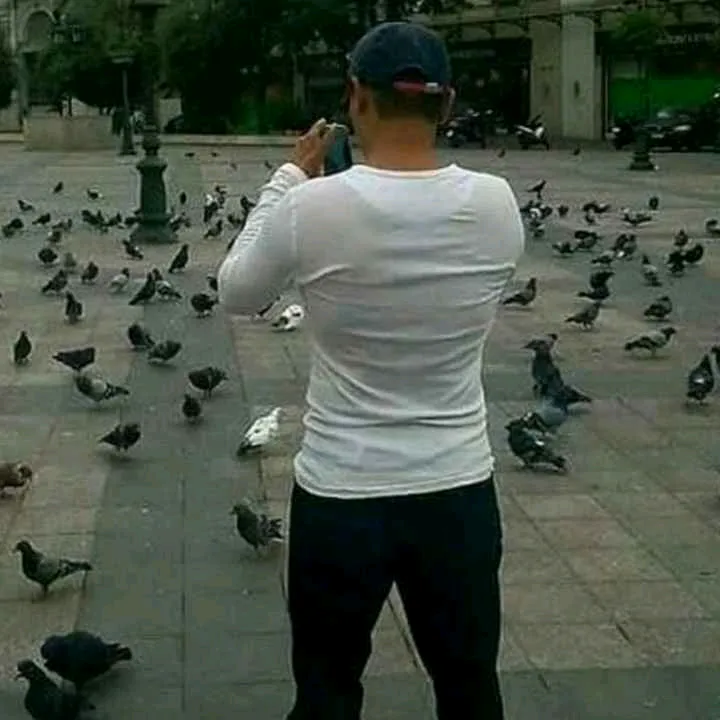 0000tavakol