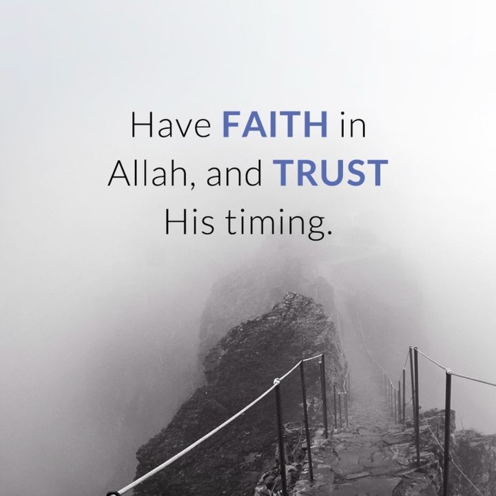 ash_zmn_0