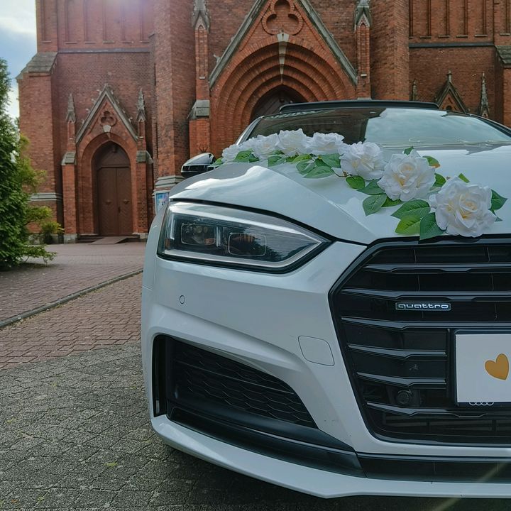 flora_cars