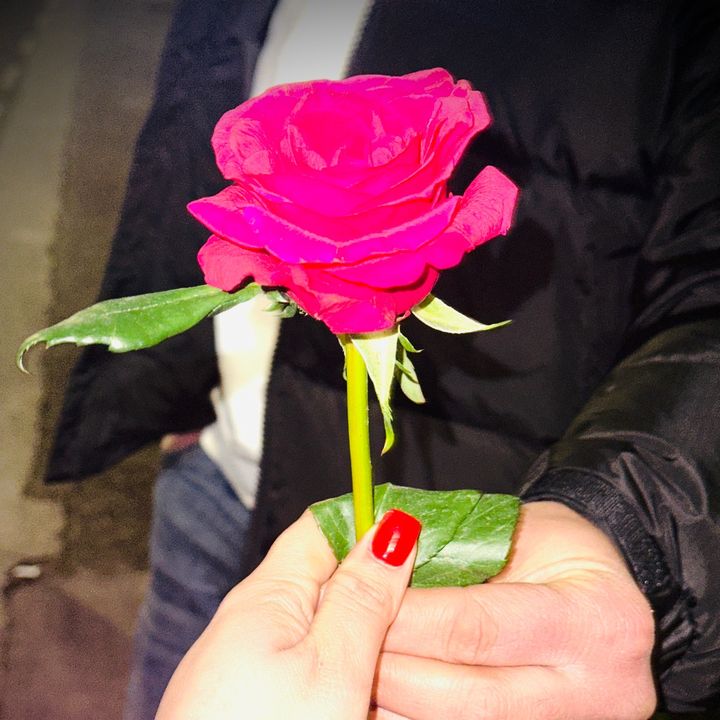 amit_kour_