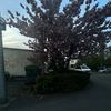 dieeineaus376
