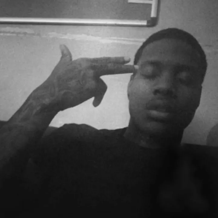 royalfeedz_0