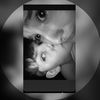 alexandra._.qlf