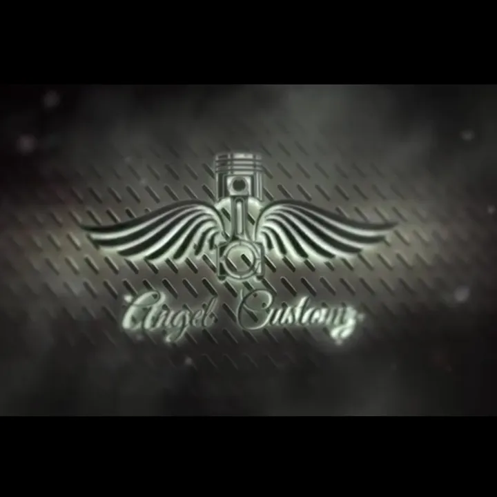 angel.customs.ltd