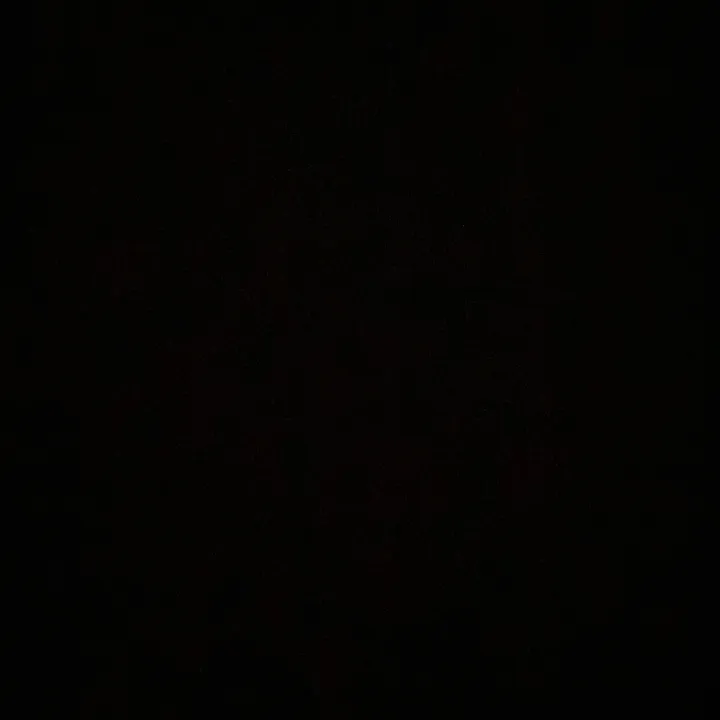 cmrch2.0