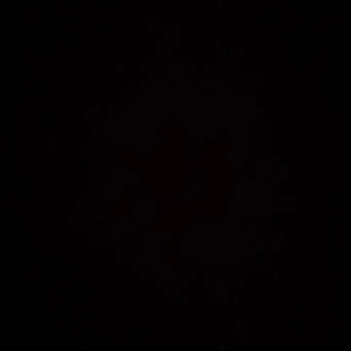 @secret10500