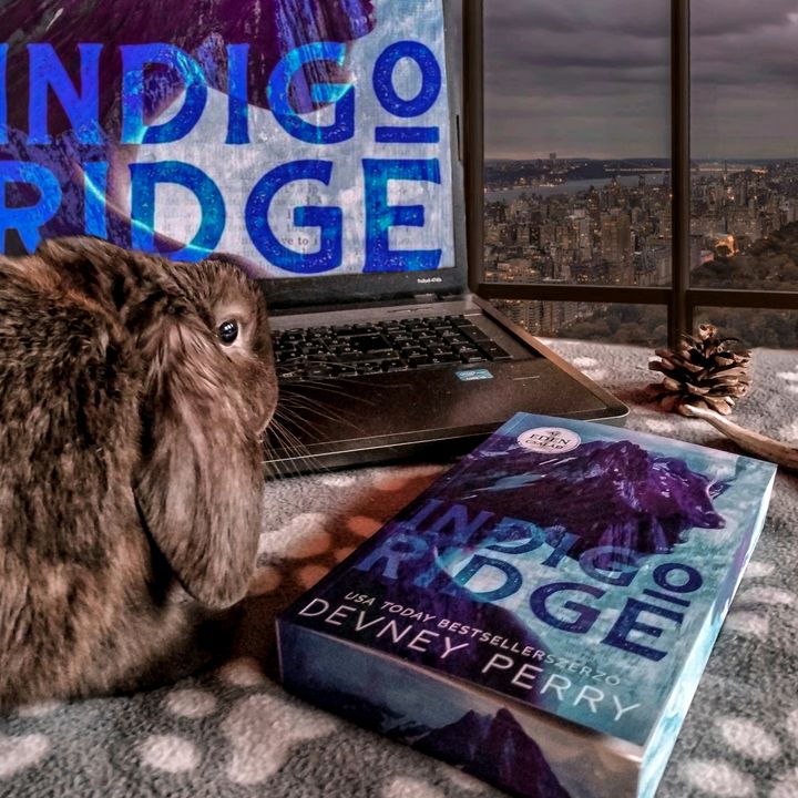 @evisbookishcorner