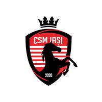 csm.iasi.2020