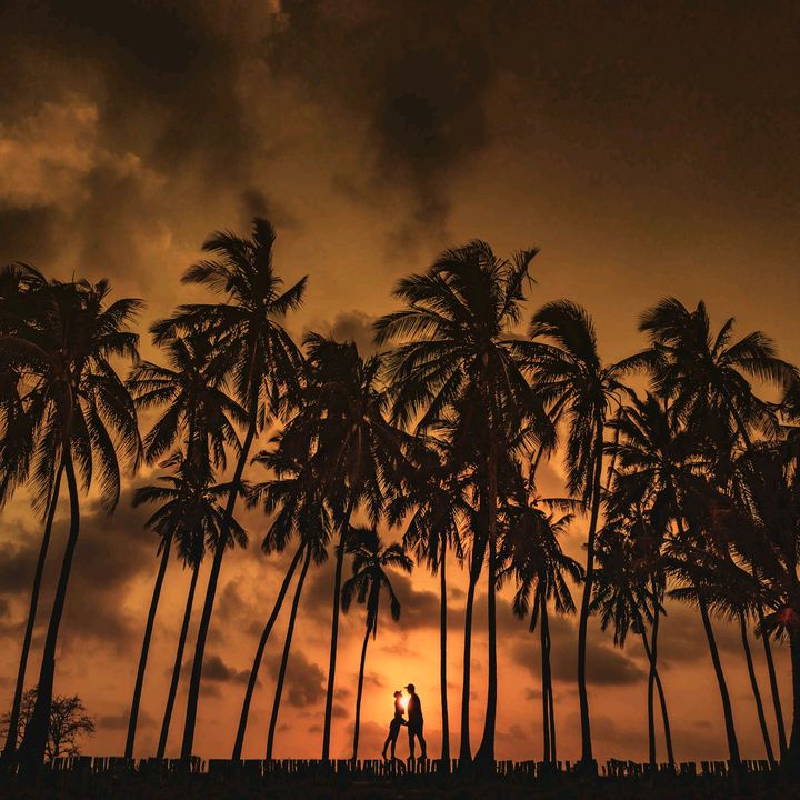 zanzibarmemories