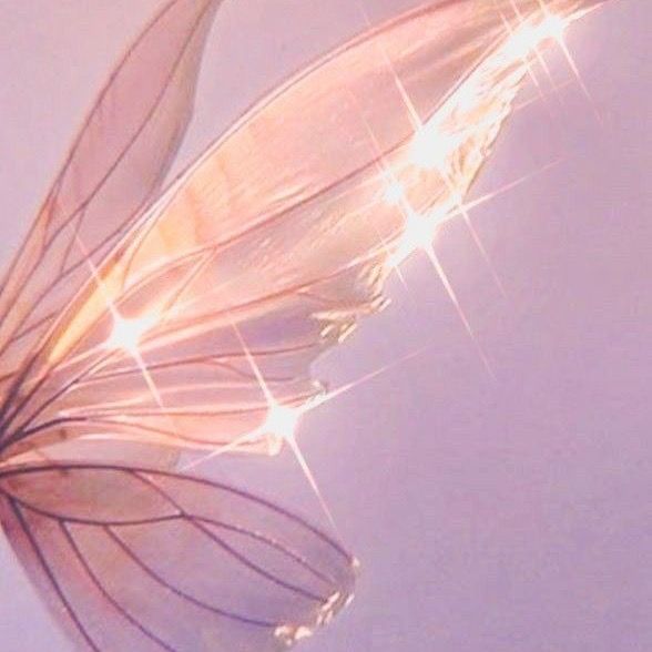 _imbutterfly03