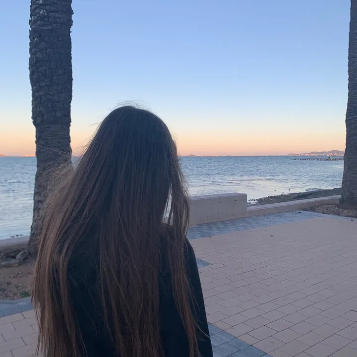 laaritap_