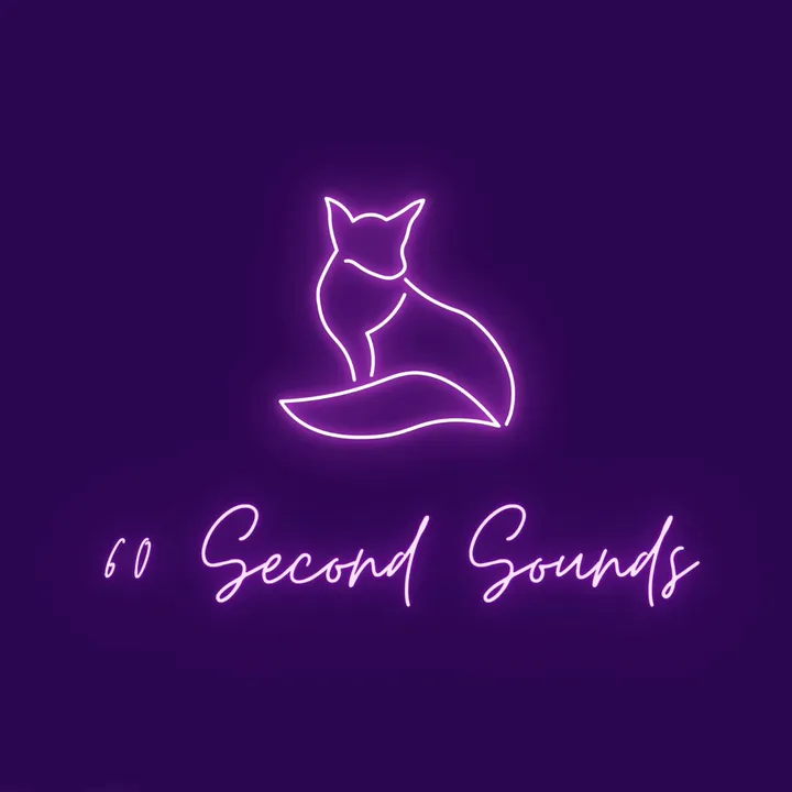 60secondsoundsx
