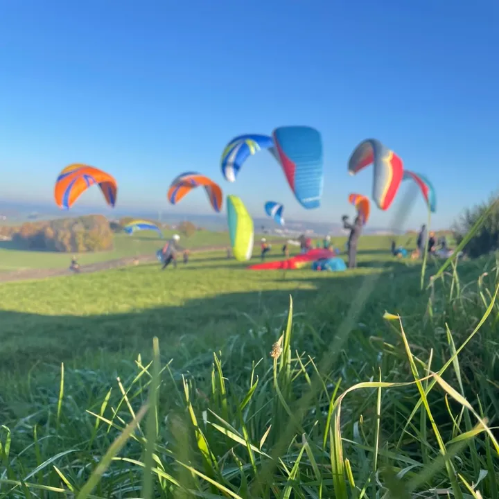 paraglidingfreedom