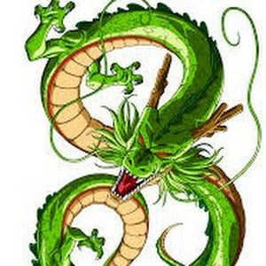 @shenlong_gaming
