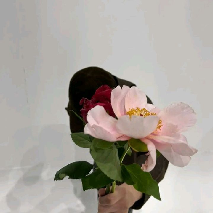 onyoura_lita