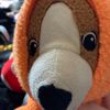 bear18709