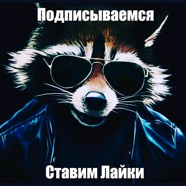 ded_efim_