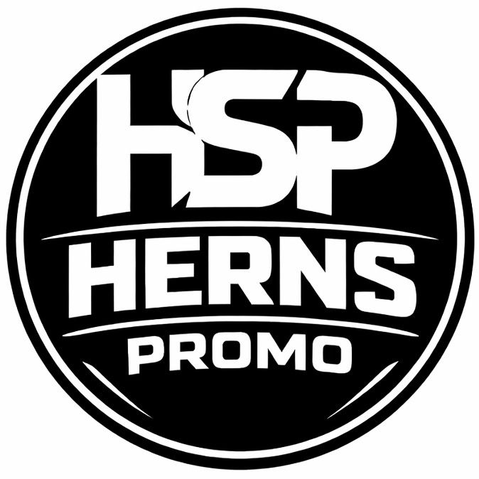 HERNS_PROMO - original sound - herns_promo