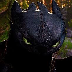 fear_toothless