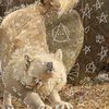 aliyah.therian2