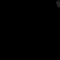 cam_il36