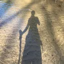 @theravensstray