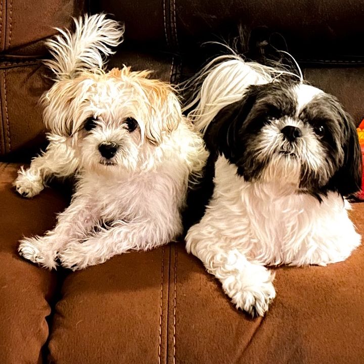 livinlifewithsugieandson