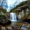 naturesfanpage